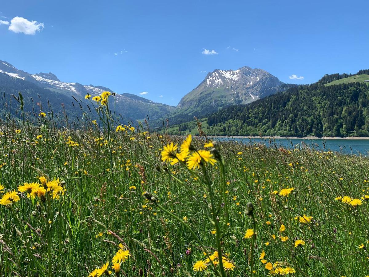 Fischers Lodge Innerthal Exteriör bild